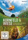 Film: Kornfeld & Wiese - Entdeckungsreise durch eine Wunderwelt