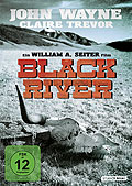 Film: Black River