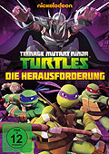 Film: Teenage Mutant Ninja Turtles: The Gauntlet