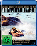 Film: Verdammt in alle Ewigkeit