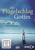 Film: Der Flgelschlag Gottes - Interview mit einem Engel