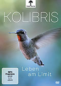 Film: Kolibris  Leben am Limit