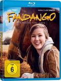 Film: Fandango - Ein Freund frs Leben