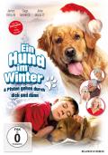 Film: Ein Hund im Winter