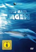 Film: Wie Haie jagen