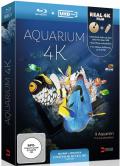 Film: Aquarium 4K - Limited Edition