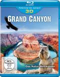 Grand Canyon 3D