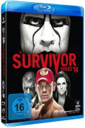 WWE Survivor Series 2014