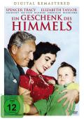 Film: Ein Geschenk des Himmels