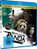 Film: Wastelander Panda: Exile
