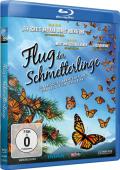 Flug der Schmetterlinge