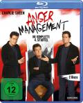 Film: Anger Management - Staffel 4