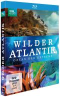Film: Wilder Atlantik - Ozean der Extreme