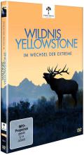 Film: Wildnis Yellowstone - Im Wechsel der Extreme