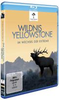 Wildnis Yellowstone - Im Wechsel der Extreme