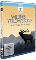 Film: Wildnis Yellowstone - Im Wechsel der Extreme