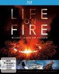 Film: Life on Fire - Wildes Leben am Vulkan