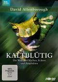 David Attenborough: Kaltbltig - Die Welt der Drachen, Echsen und Amphibien
