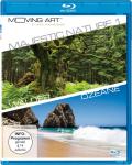 Film: Majestic Nature 1 - Wlder und Ozeane