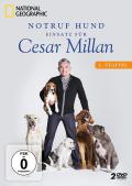 Film: National Geographic: Cesar Millan - Notruf Hund - Einsatz fr Cesar Millan - Staffel 2