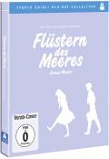 Film: Flstern des Meeres - Ocean Waves