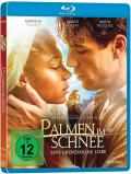 Palmen im Schnee - Eine grenzenlose Liebe