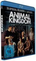 Film: Animal Kingdom - Knigreich des Verbrechens