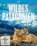 Wildes Patagonien