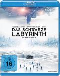 Das schwarze Labyrinth