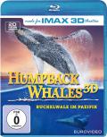 Film: Humpback Whales - 3D