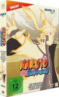 Naruto Shippuden - Box 15.1