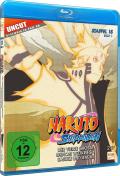 Film: Naruto Shippuden - Box 15.1