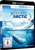 Film: IMAX -  Wonders of the Arctic - Wunder der Arktis - 4K