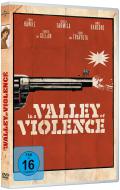 In a Valley of Violence