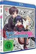 Film: Love, Chunibyo & Other Delusions! -Heart Throb- Staffel 2.2