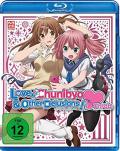 Film: Love, Chunibyo & Other Delusions! -Heart Throb- Staffel 2.3