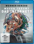 Film: Wovon trumt das Internet?