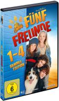 Fnf Freunde 1-4