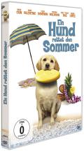 Ein Hund rettet den Sommer