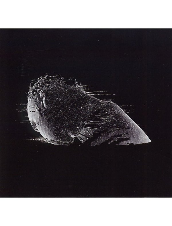 lightbox image