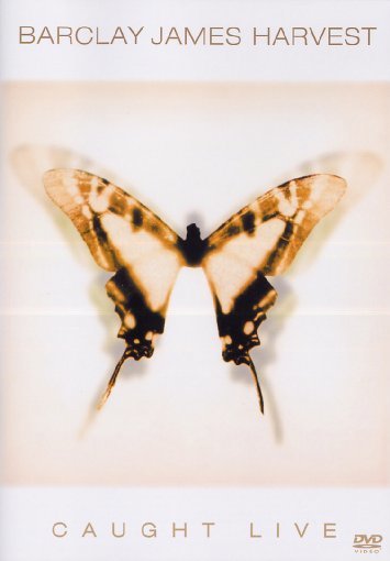 lightbox image