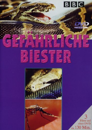 lightbox image