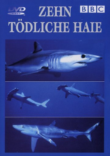 lightbox image