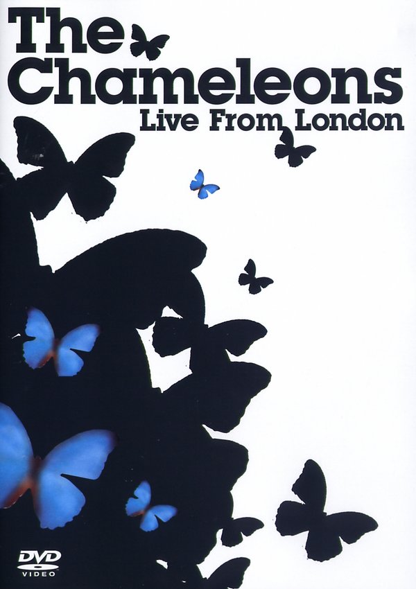 lightbox image