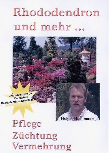 lightbox image