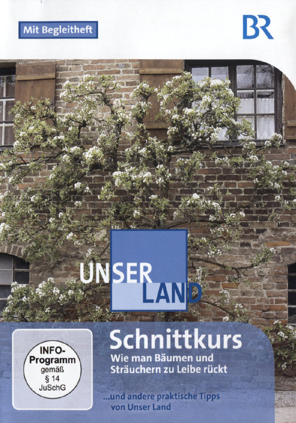 lightbox image