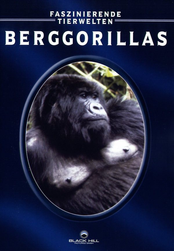 lightbox image