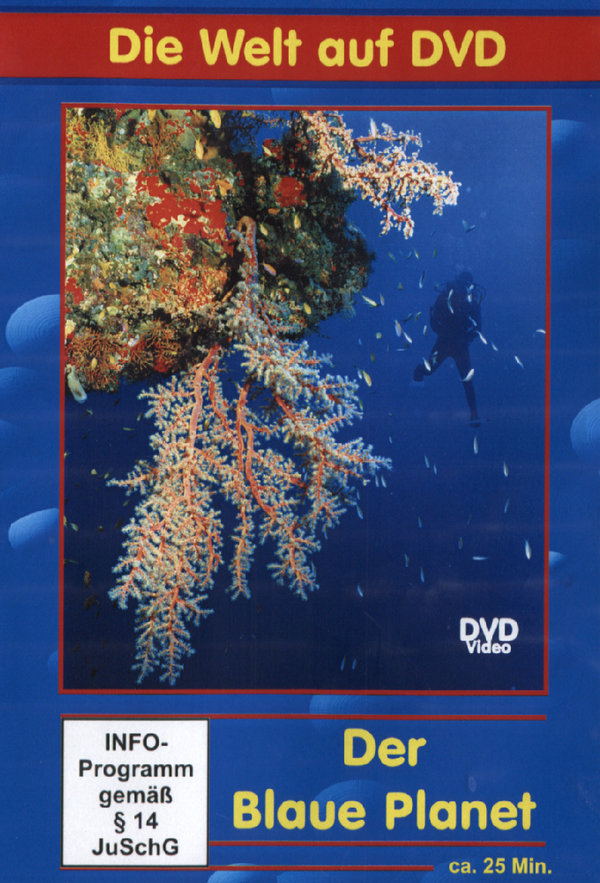 lightbox image
