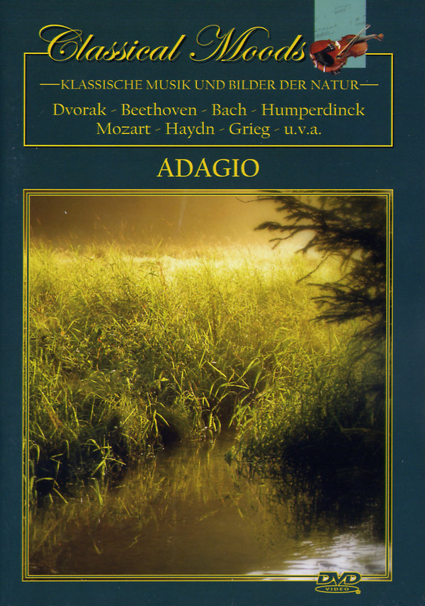 lightbox image