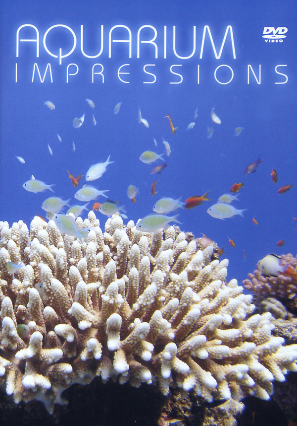 lightbox image